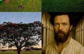 Algunas de las obras que estarán en exposición desde hoy en El Cabildo.