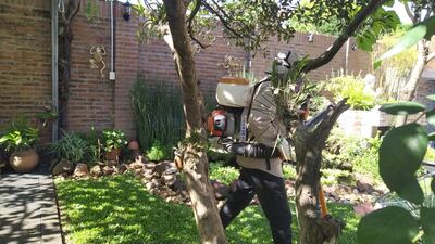 Fumigaciones Senepa.