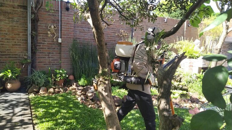 Fumigaciones Senepa.