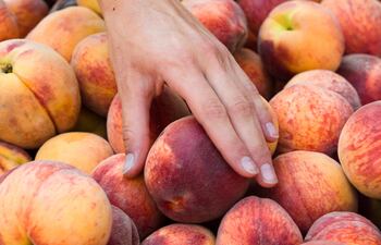 El CX es un modelo estratégico de gestión que busca generar experiencias positivamente memorables que fidelicen al consumidor.