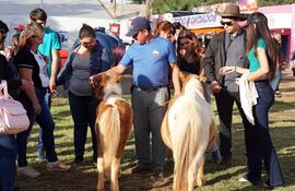 Expo Santa Rita espera miles de visitantes nuevamente.
