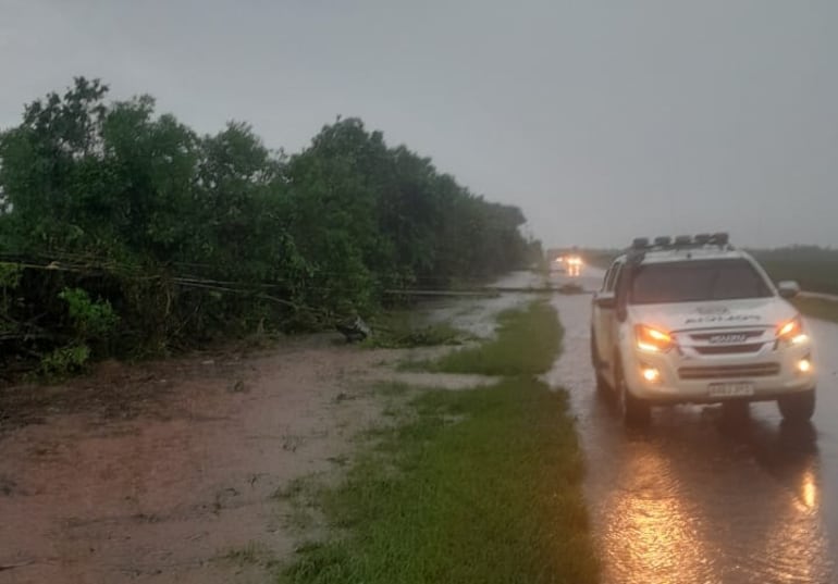 El temporal dejó a su paso varias columnas caídas.