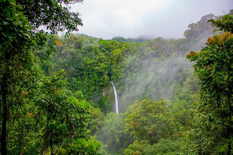 Parque Nacional Manuel Antonio de Costa Rica