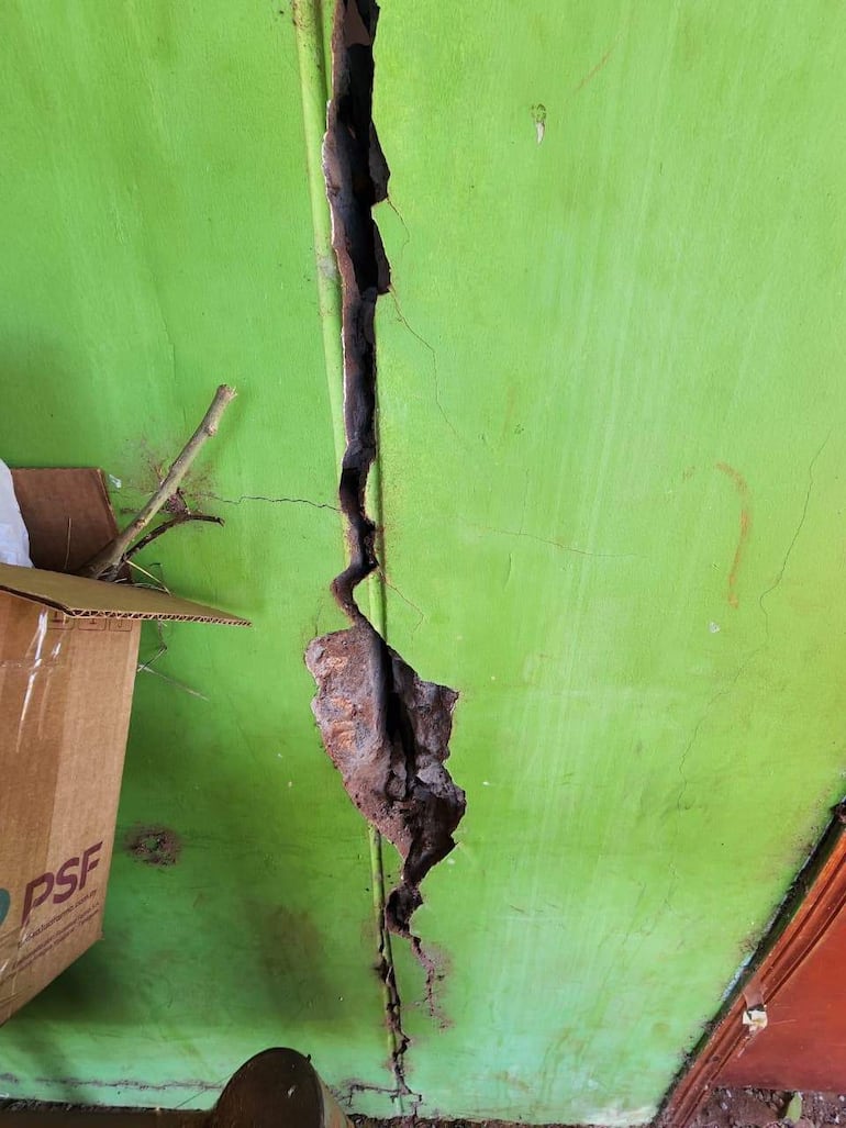 Pared verde con grieta ancha y daños visibles, caja de cartón y restos de ramas en el suelo.