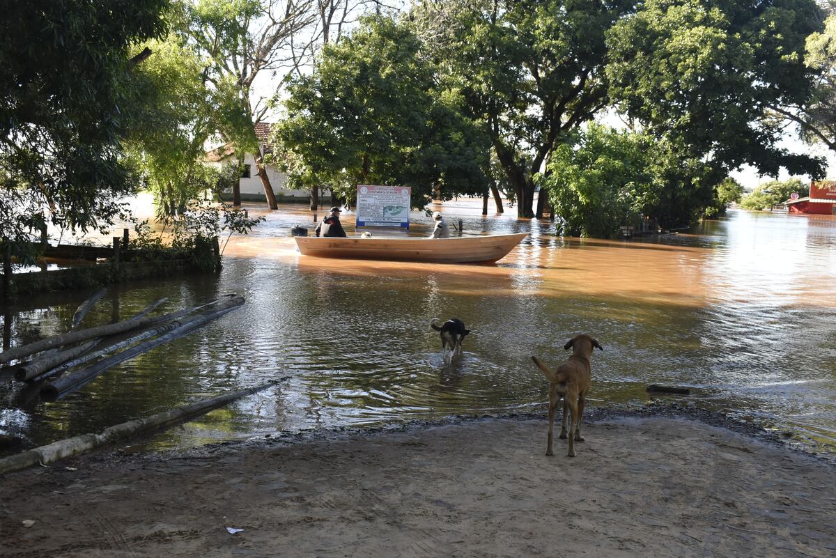 Escasez de maquinaria dificulta trabajos de prevención ante el avance de El Niño en Misiones