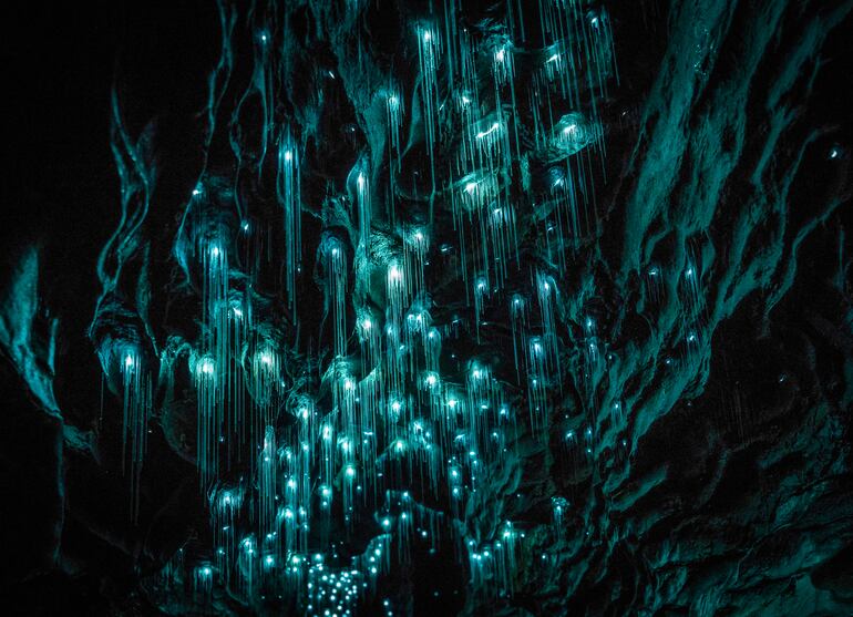 Glowworm Caves, Waitomo, Nueva Zelanda.