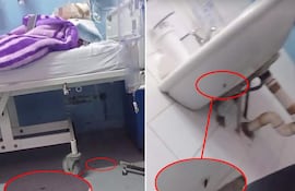 Captura del video realizado por Mariela Otazo, en el área de Pediatría del Hospital Central del IPS. La asegurada filmó cómo abundan las cucarachas en torno a su bebito, que tiene un catéter y debe pasar por una cirugía.