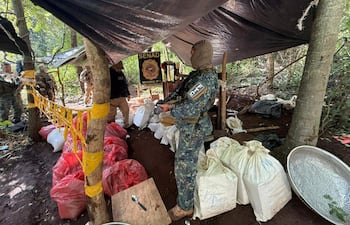 Agentes de la Senad y de la FTC realizaron el procedimiento en la colonia Potrero Sur.