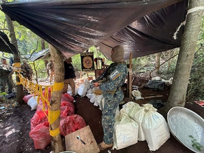Agentes de la Senad y de la FTC realizaron el procedimiento en la colonia Potrero Sur.