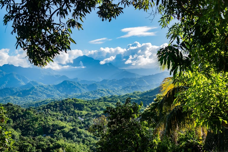 Blue Mountains, Jamaica.