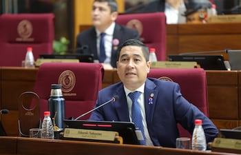 Eduardo Nakayama (independiente), senador.