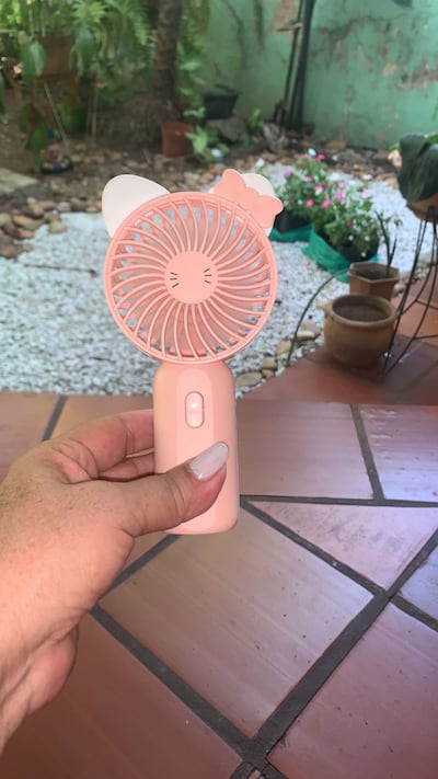 ANDE registra pico histórico de consumo de electricidad mientras clientes se quejan de falta de electricidad.