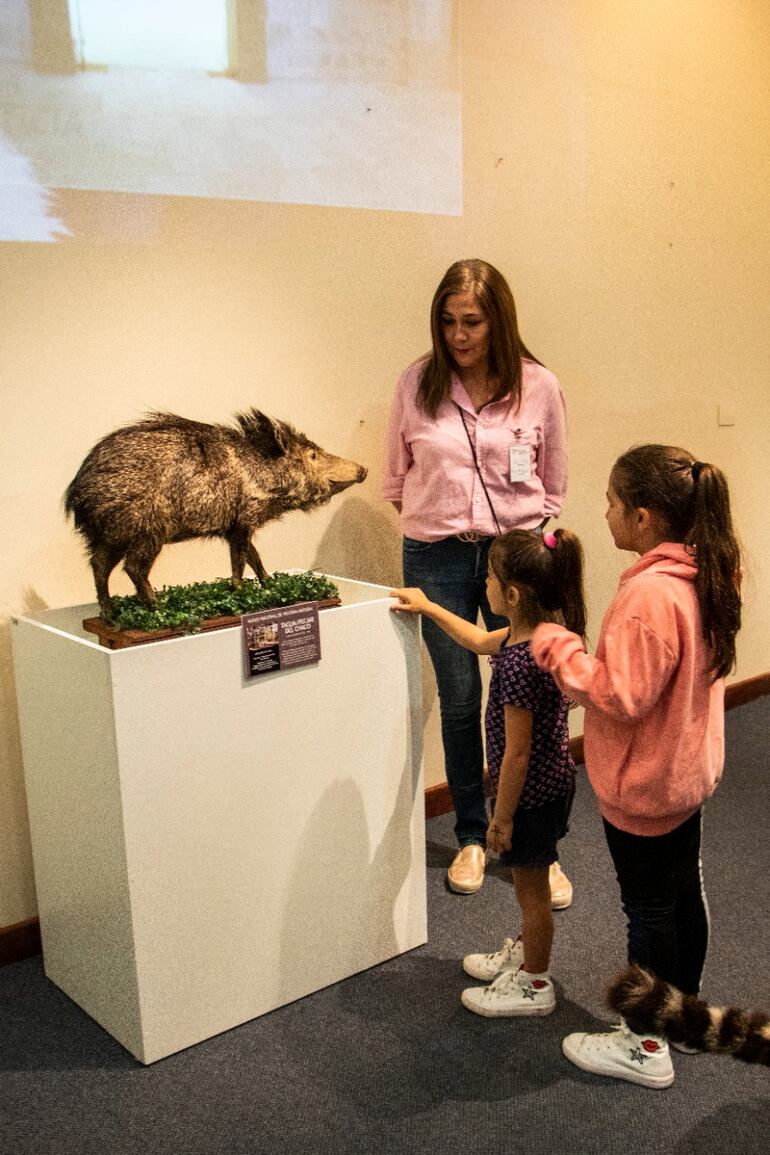 Los niños podrán visitar nuevamente los museos el próximo 14 de mayo.