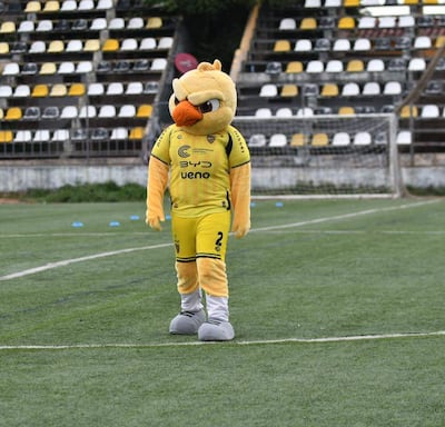 El Canario, la "mascota" del Recoleta FC.