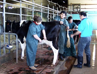 /pf/resources/images/abc-placeholder.png?d=2384