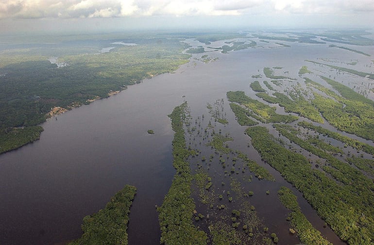 Fotografía aérea de archivo del 11 de septiembre de 2003 de la Amazonía brasileña. El Niño que golpeará Latinoamérica este semestre con altas temperaturas y sequías severas pone en peligro la creciente economía sostenible de la Amazonía, una de las apuestas para salvar de la destrucción al mayor bosque tropical del planeta.