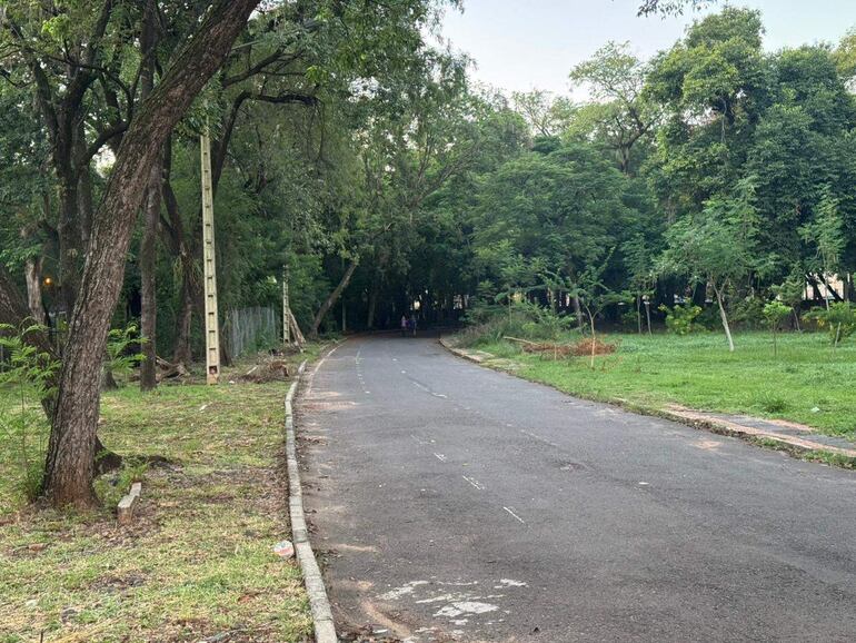 Un camino curvado rodeado de vegetación densa en un parque en estado de abandono, sin personas visibles.