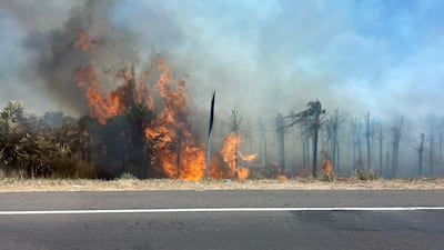 incendio ruta Luque San Bernardino