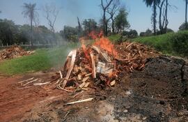 La carga de marihuana prensada fue incinerada en Minga Guazú.