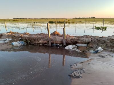Pobladores de Punta Diamante exigen a las autoridades caminos de todo tiempo.