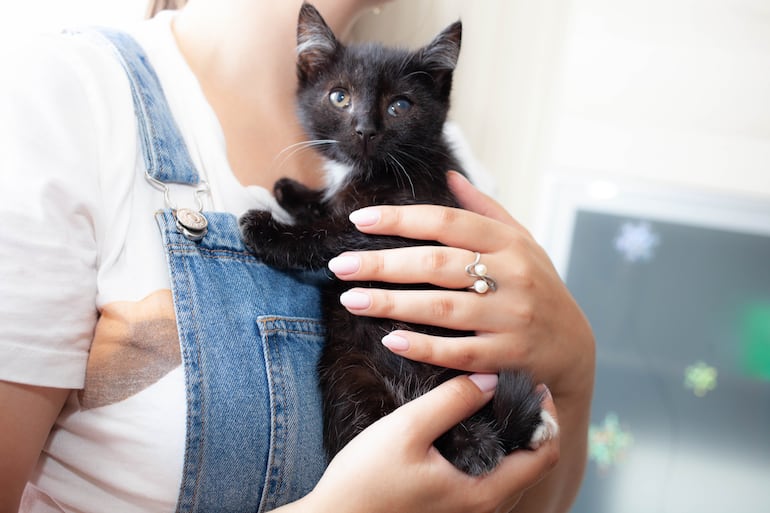 Gato con enfermedad ocular está abrazado a su dueña.
