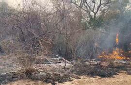 Unas cien mil hectáreas ya fueron consumidas por el fuego en la zona de la reserva natural Chovoreca, frontera con Bolivia.