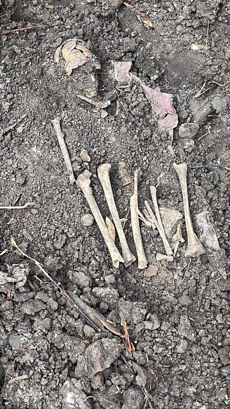 Restos óseos parcialmente enterrados en tierra oscura y hojas secas, sin presencia humana en la escena.