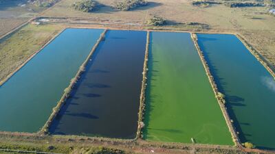 La planta de tratamiento de Aguas residuales de la Essap ubicada en la compañía Pindoty de Coronel Oviedo.