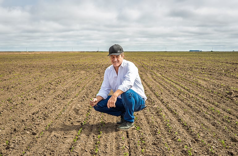 Farmer: La empresa que convirtió a la diversificación en su mejor aliado