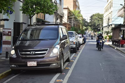 En la bicisenda, sobre la calle Palma de Asunción, todos los días las personas estacionan más de unos minutos y son pasibles de multas.