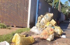 Acumulación de basura en varios sectores de Ciudad del Este.