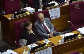 Sesion de la camara del senados en el congreso de nacional
Hoy 24 de Abril de 2024
Gustavo Machado. Esperanza Martínez y Basilio Núñez Bachi