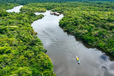 Amazonía peruana.