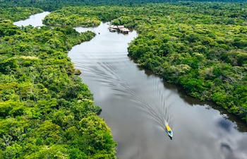 Amazonía peruana.
