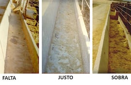 Ejemplo de comedero de animales con diferentes tipos de consumo y cuál es el ideal.