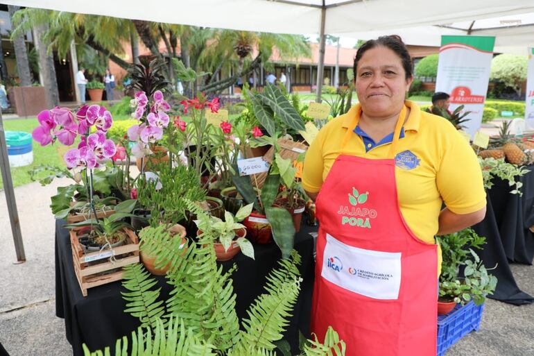 Feria de la agricultura.