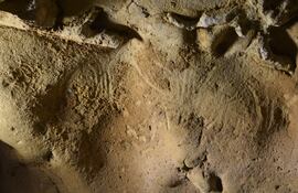 Unas marcas no figurativas realizadas con las manos son los grabados rupestres más antiguos conocidos obra de neandertales. Con una antigüedad de más de 57.000 años se han encontrado en una cueva de Francia y se hicieron antes de que el Homo sapiens entrara en la región. La cueva de la Roche-Cotard, en el centro de Francia, presenta unas marcas no figurativas en la pared, que se interpretan como aleteos, hechas por manos humanas, según un estudio que publica hoy Plos One. EFE