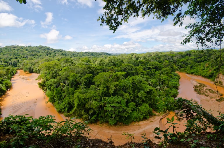 Parque Nacional Madidi, amazonía boliviana.