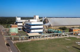 Industrialización de soja registró alza interanual del 3% a julio último, llegando a 1.982.381 toneladas. Supera al promedio logrado en los últimos tres años.