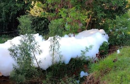 Los intervinientes encontraron gran cantidad de espuma en el cauce del arroyo.