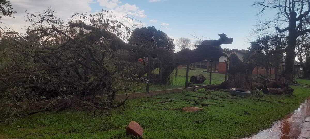 Breve pero intenso temporal con granizo causa daños en viviendas y cultivos de Paso Yobai