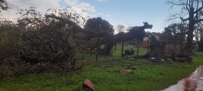 Un temporal afectó a varias viviendas y cultivos en Paso Yobai.