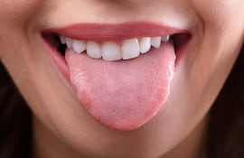 Lengua.