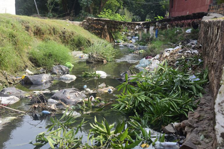 El arroyo Itay altamente contaminado, de color verde y con gran cantidad de basura.
