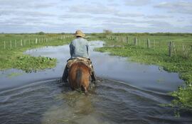 un-peon-recorre-un-camino-interno-en-una-estancia-del-banado-norte-del-pilcomayo-con-la-unica-movilidad-posible-el-caballo-notese-la-profundidad-que-210944000000-393473.jpg