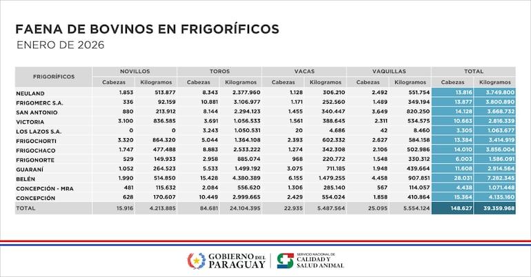 Faena de bovinos en enero de 2025