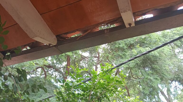 El interior como el exterior de las aulas están completamente consumidas por las termitas.