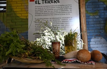 Dia del Terere- BoltPaseo de los Yuyos
FERNANDO ROMERO 27-02-26 LOCALES