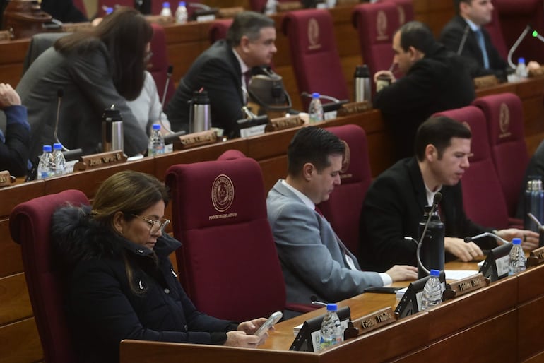 Histórica clasificación de Paraguay: Diputados levanta la sesión por el feriado decretado por Santiago Peña - Política