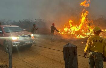 Fotos recientes del combate a los incendios forestales en la zona de Cerro Chovoreca. Trabajaron en el lugar personal del III Cuerpo del Ejército y la 6ª División de Infantería, en apoyo a los Bomberos y la Brigada Forestal de la SEN.
